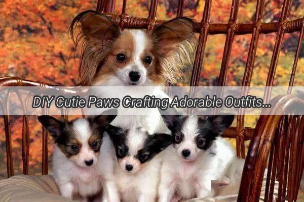 DIY Cutie Paws Crafting Adorable Outfits for Your MediumSized Pooch